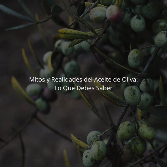 Mitos y Realidades del Aceite de Oliva: Lo Que Debes Saber