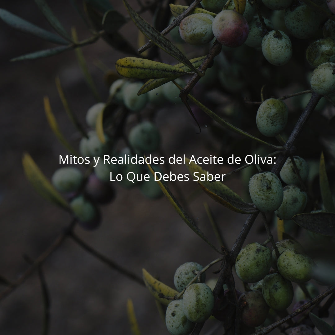 Mitos y Realidades del Aceite de Oliva: Lo Que Debes Saber