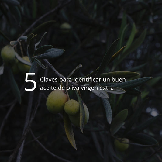 5 señales para reconocer un verdadero aceite de oliva virgen extra de calidad